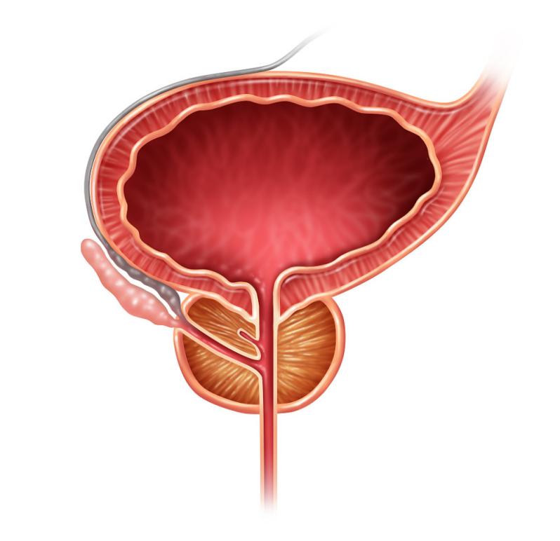 Laughing about the prostate: Avoid the five vices to stay aw