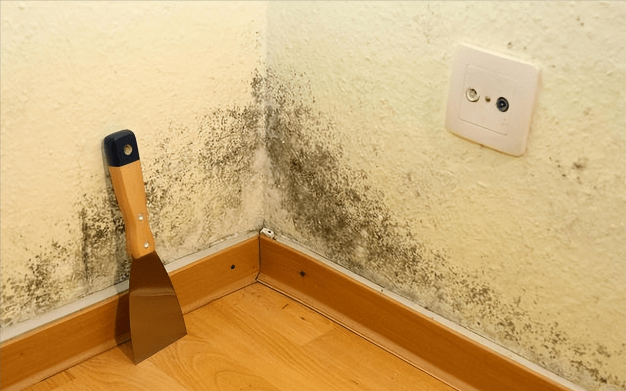 If you see small mouldy spots in your home during the summer